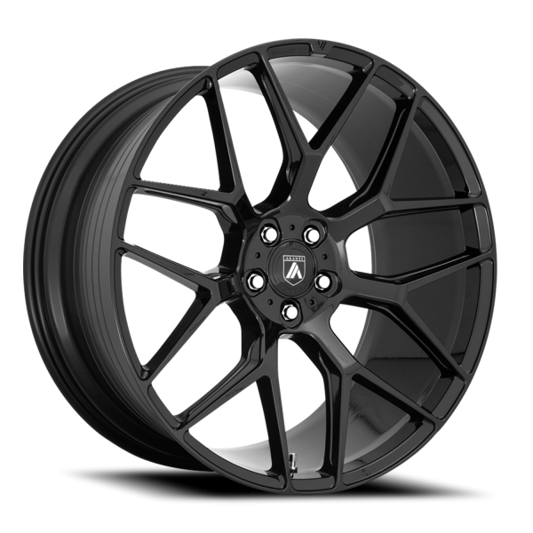 Asanti Black Label Dynasty
