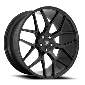 Asanti Black Label Dynasty