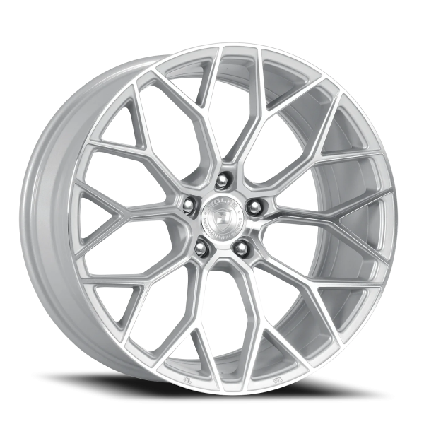 Pista GSF
