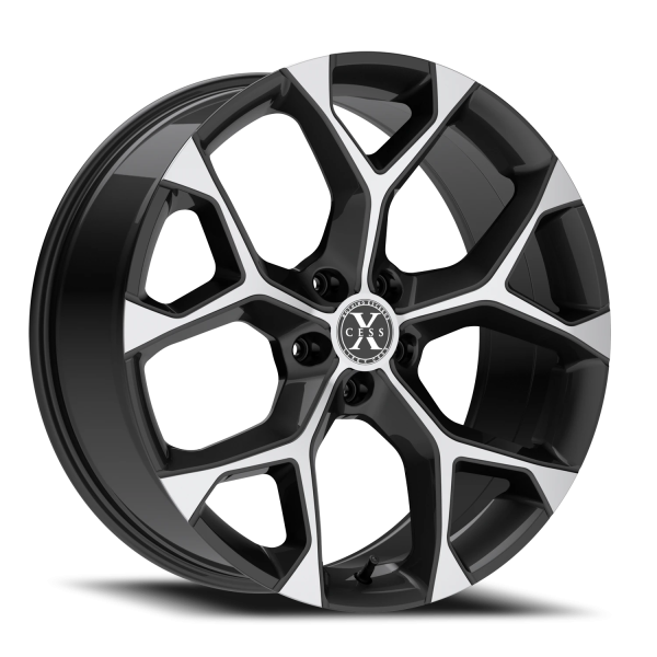 X05 GBM
