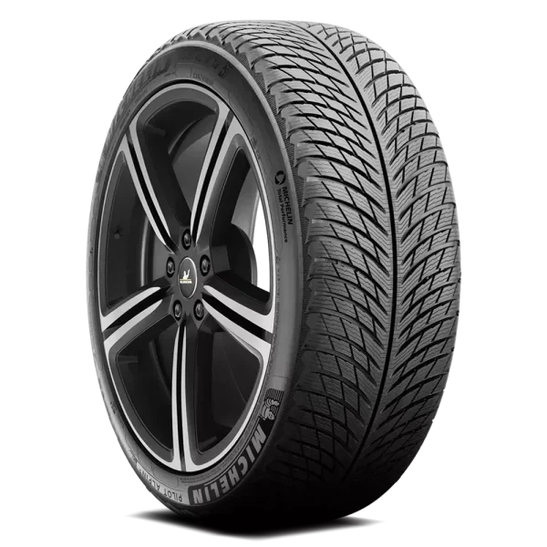 Michelin Pilot Alpin 5 315/35R20