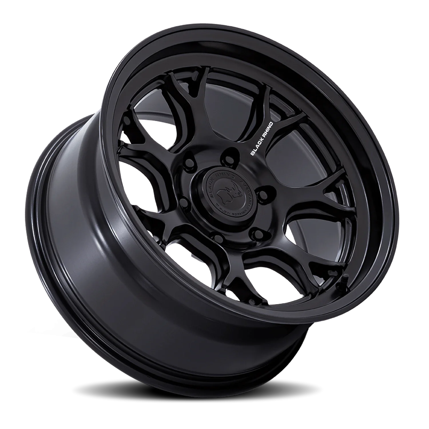 Black Rhino Etosha - Image 2