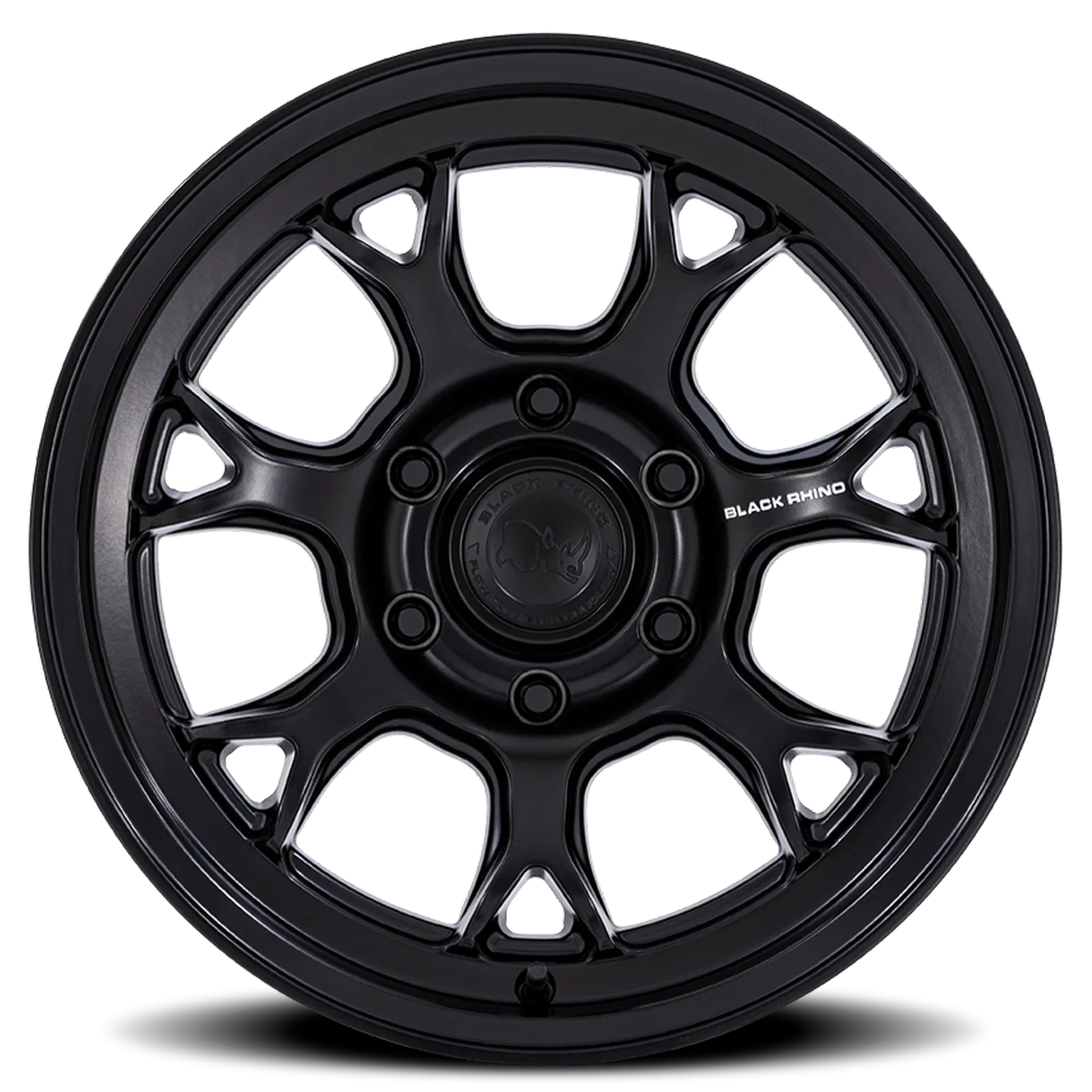 Black Rhino Etosha - Image 3