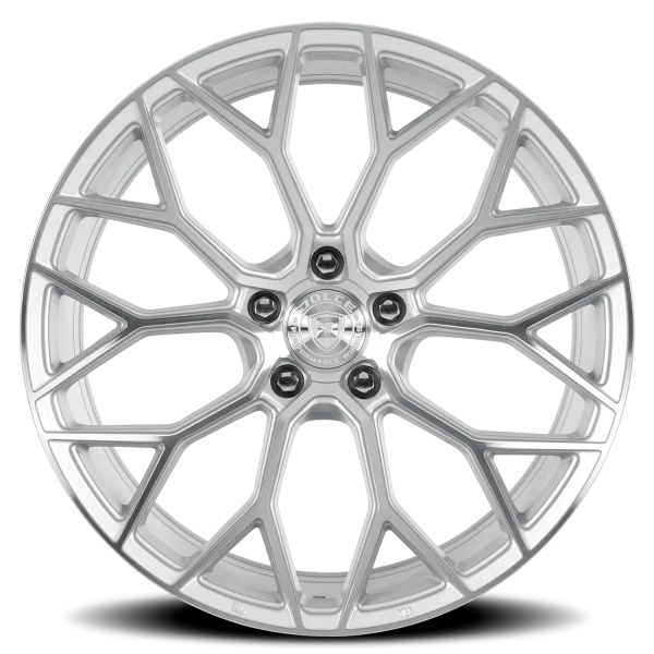 Dolce Performance Pista - Image 3