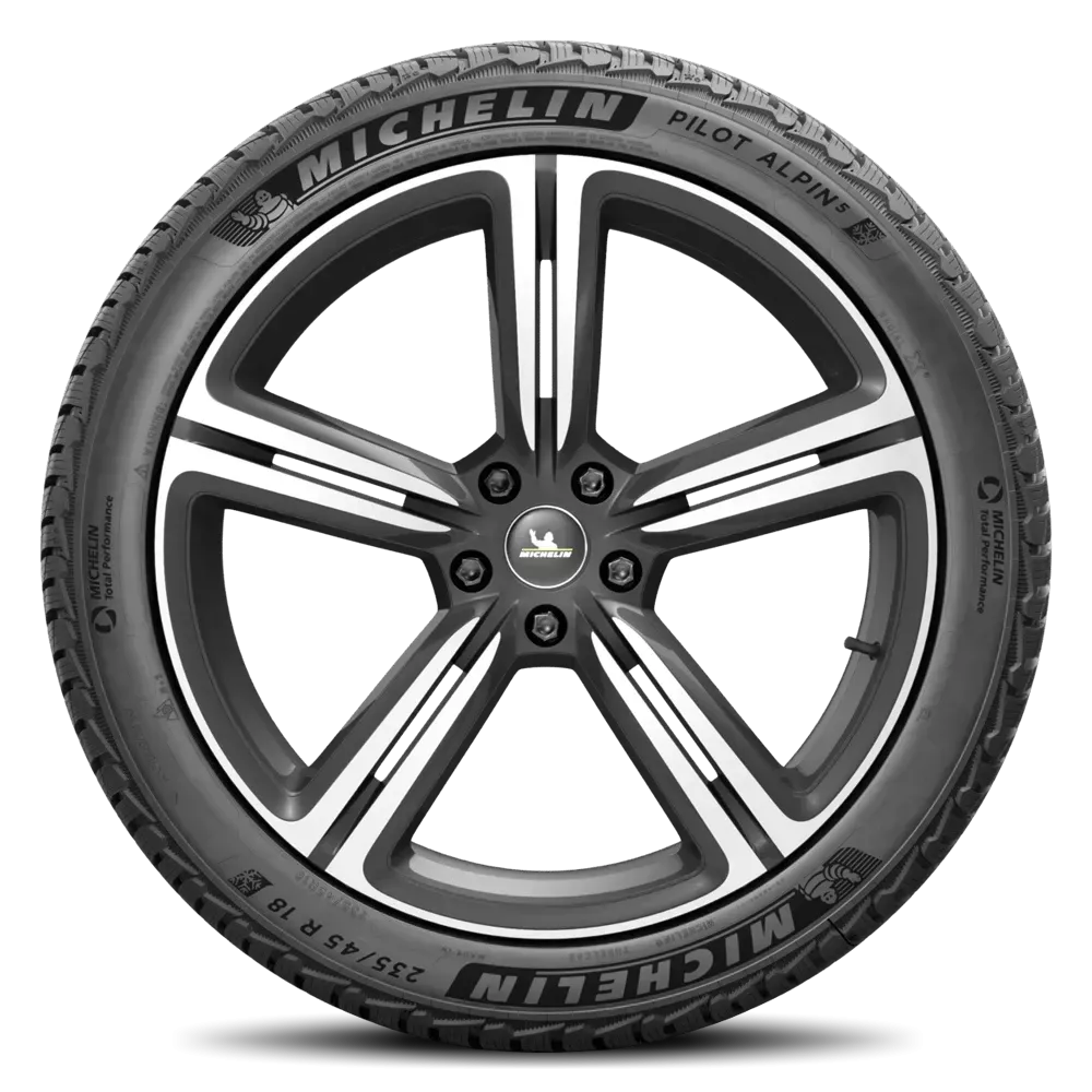 Michelin Pilot Alpin 5 295/30R20 - Image 3