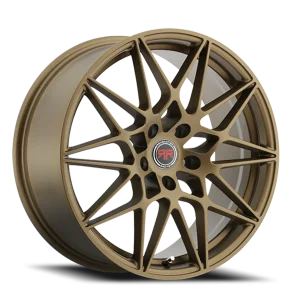 Revolution Racing R11