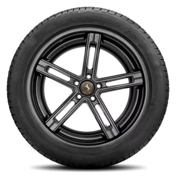 Continental Contiwintercontact TS 830 P 305/40R20 - Image 3