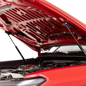 Hood Struts | Hydraulic | Toyota Tacoma 2WD/4WD (2024-2026)