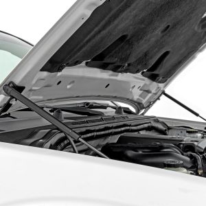 Hood Struts | Hydraulic | Nissan Frontier 2WD/4WD (2005-2021)