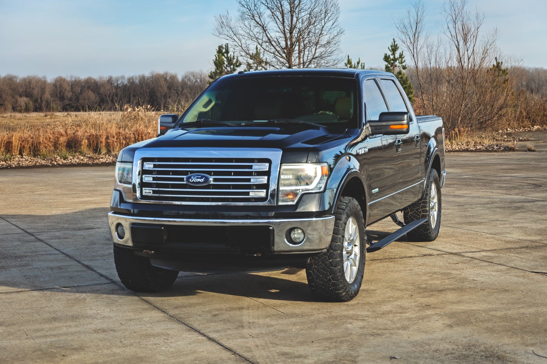 Power Running Boards | Crew Cab | Ford F-150 (2009-2014) - Image 6